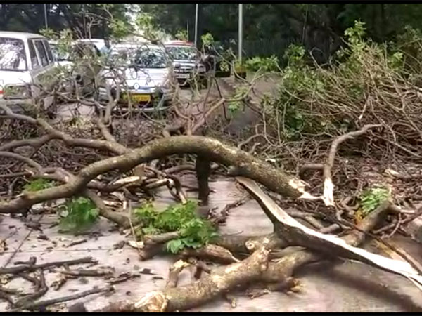 Low-lying areas inundated