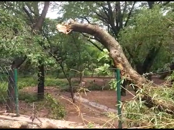 Roads blocked, traffic affected