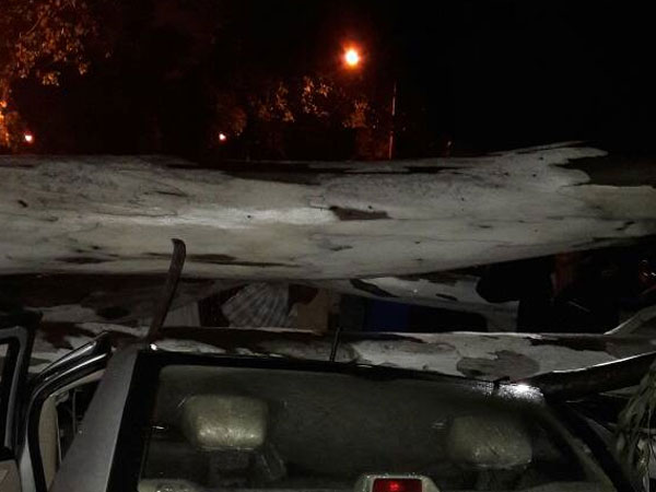 Trees fall on vehicles, damage cars