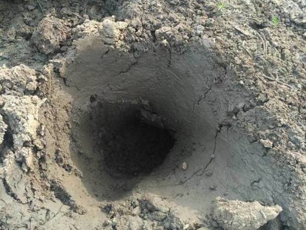 Every footprint matters