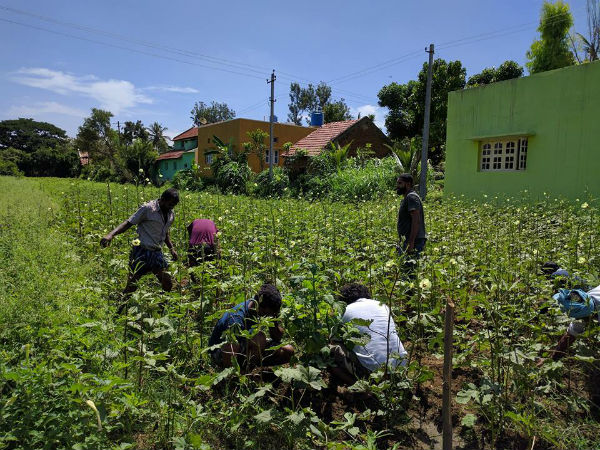How does this Farm share works? How does this Farm share works?