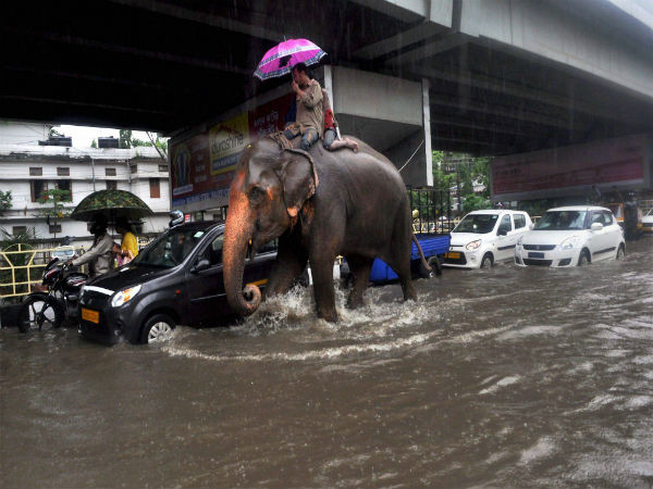 Brahmaputra water level gradually increasing
