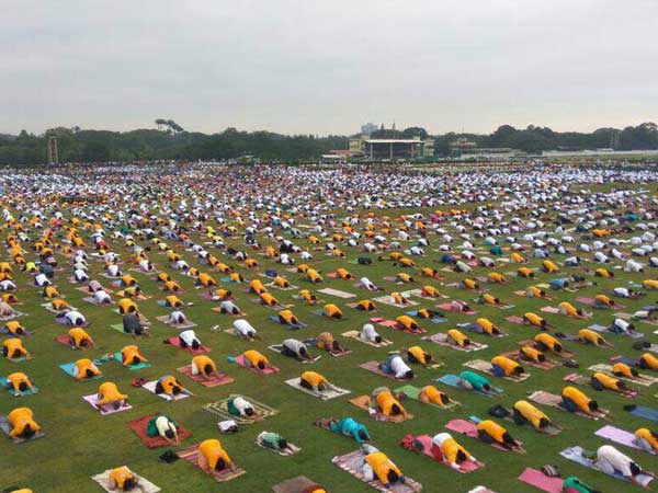 Thousands gather for Yoda day rehearsals