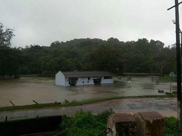 Rains batter Kodagu