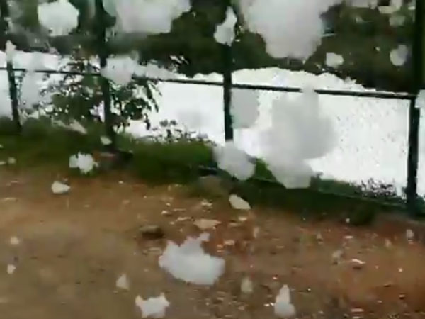 One rain and the story continues One rain and the story continues