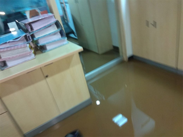 Stock markets remain open