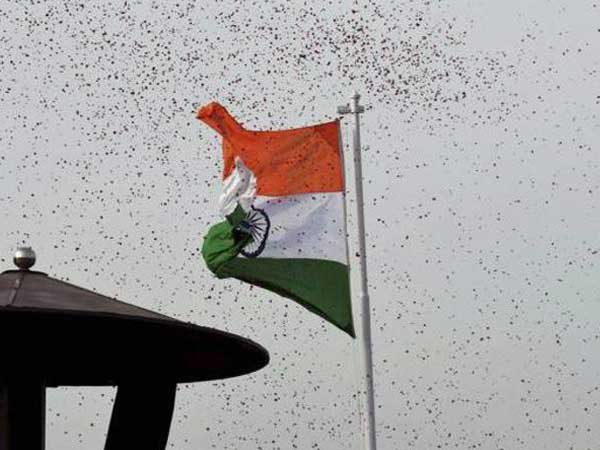 Uttarakhand: Show-cause notices to 54 IAS officers for skipping I- Day event Uttarakhand: Show-cause notices to 54 IAS officers for skipping I- Day event