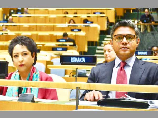 Pakistan's Ambassador to the UN Maleeha Lodhi Pakistan's Ambassador to the UN Maleeha Lodhi