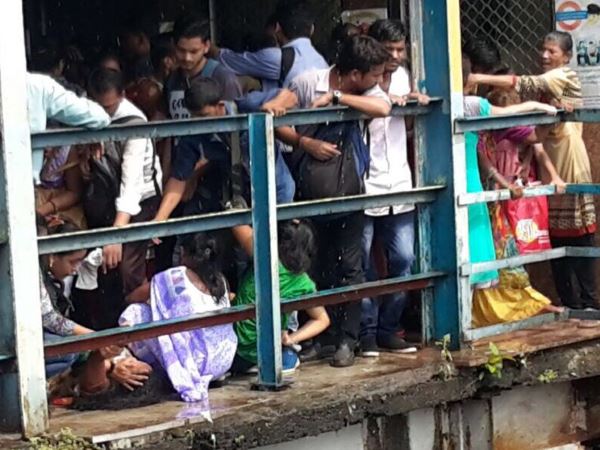 Elphinstone stampede Elphinstone stampede