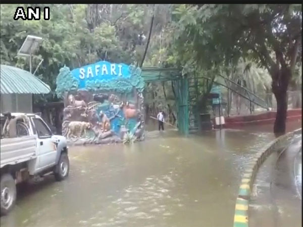 Safari at Nehru zoo suspended temporarily due to waterlogging