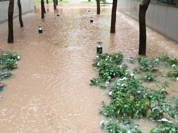 Government event 'washed out'