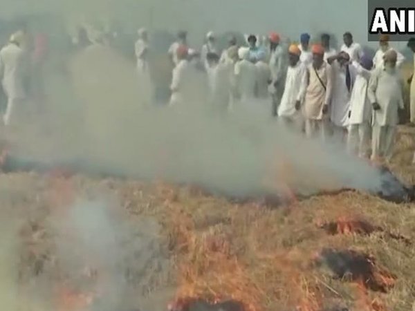 Punjab farmers
