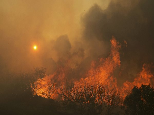 Where people have died this week