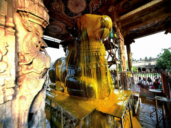 Special puja offered to idol of Nandi Special puja offered to idol of Nandi