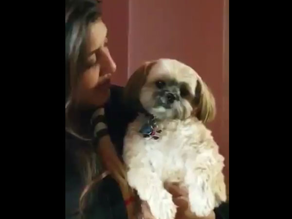 This puppy knows who will Gujarat elections This puppy knows who will Gujarat elections