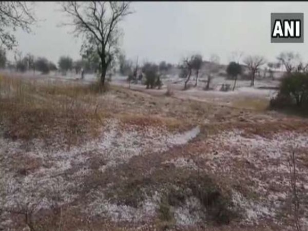 Photo courtesy: ANI Photo courtesy: ANI