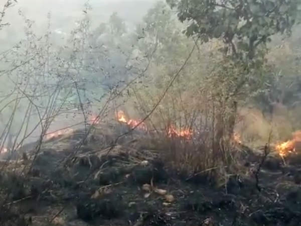 Theni forest fire Theni forest fire