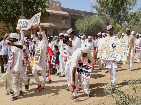 Bishnoi devotees