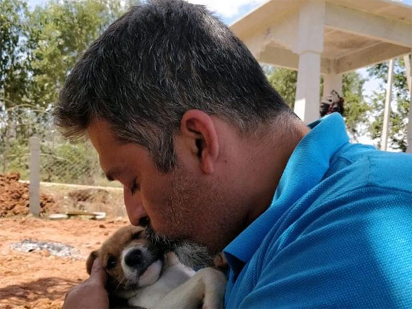 Security for dogs Security for dogs