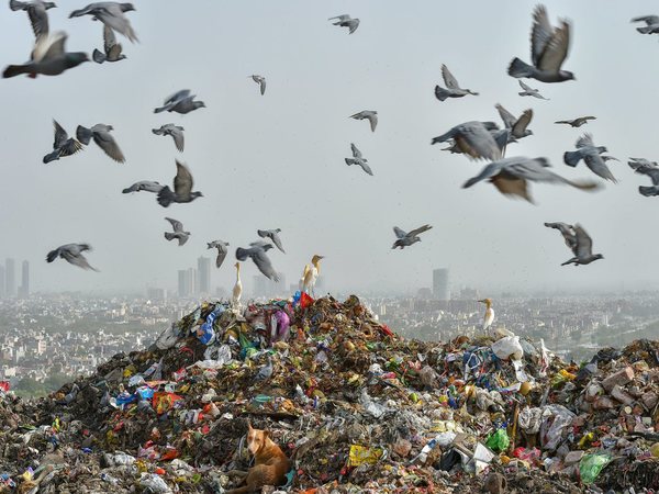 File photo of garbage pile at Gazipur 
