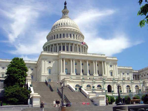 The White House 