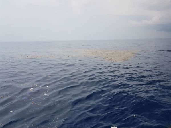 Plane crashed into the sea 