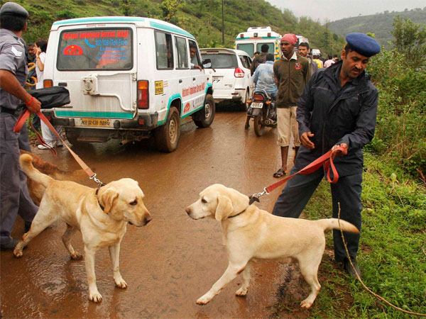 Why are sniffer dogs effective?