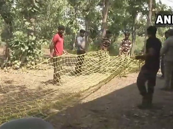 Efforts on to tranquilise tigress