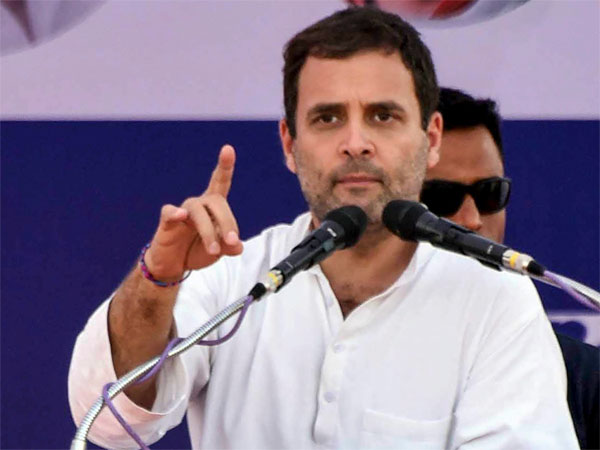 Congress President Rahul Gandhi Congress President Rahul Gandhi