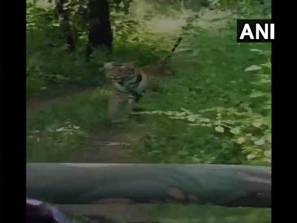 Image tweeted by ANI Image tweeted by ANI