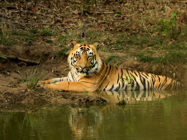 Question on conservation method Question on conservation method