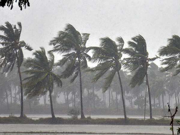 10.3 lakh hectares of standing crop destroyed in Cyclone Phethai: 10.3 lakh hectares of standing crop destroyed in Cyclone Phethai: