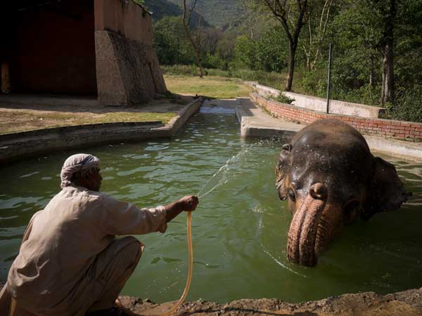 Heatwave in Pakistan