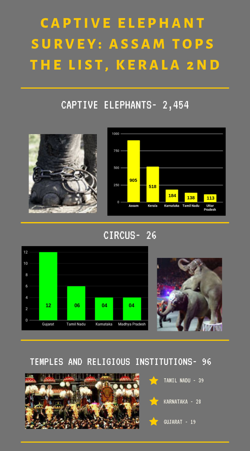 First captive elephant survey out: This is where your state stands
