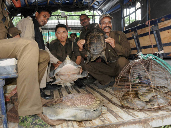 Wildlife trade: India helps foresters fight back against cyber crime Wildlife trade: India helps foresters fight back against cyber crime