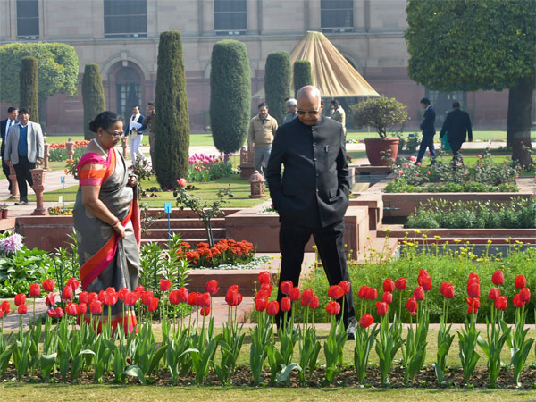 Preview of the Mughal Gardens