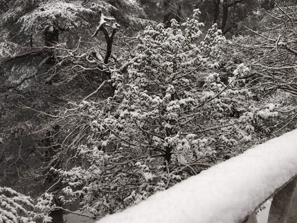 Keylong continued to be coldest