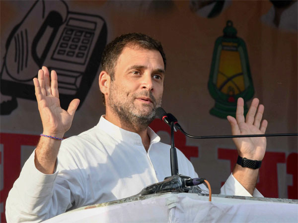 Congress President Rahul Gandhi Congress President Rahul Gandhi