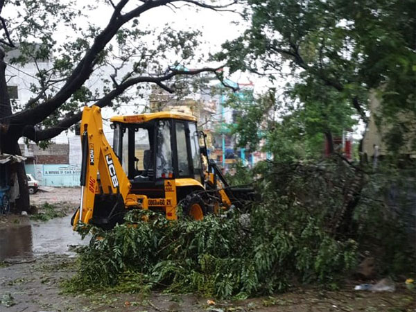Heavy rains leave coastal Odisha reeling