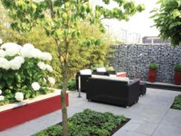 Freedom is at your doorstep: Why you should chose Provident