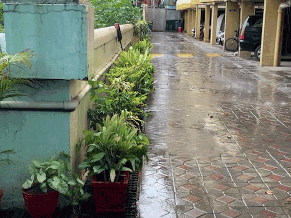 Strong winds, thundershowers lash parts of city in Bengaluru