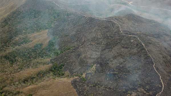  How did the Amazon rainforest fires start?