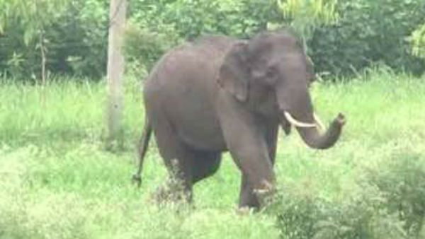 Representational Image Representational Image