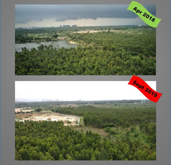 The destruction of another lake: Why the situation at Bhoganahalli reeks of apathy