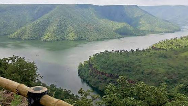 Chenchus stand guard to save the forests of Nallamala