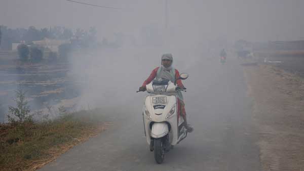 Stubble burning continues in Haryana despite ban: