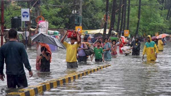 Is this linked to climate change?