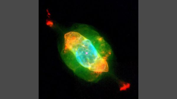 Saturn Nebula