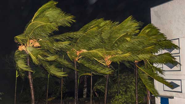 Trees uprooted, damaged hoardings