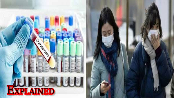 Explained: Why it is wrong to blame snakes for spreading the new China virus Explained: Why it is wrong to blame snakes for spreading the new China virus